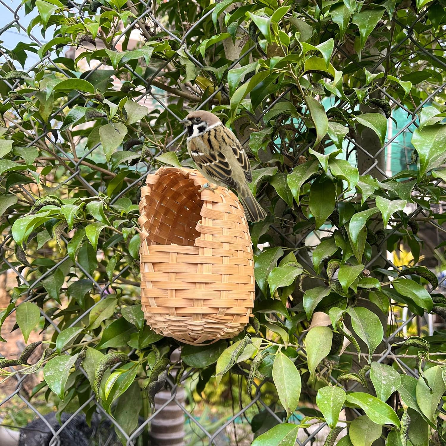 Natural Bird Houses, Bamboo Handmade Bird House, Finch Hideout Cage, Hut Toy Shelter for Outdoor