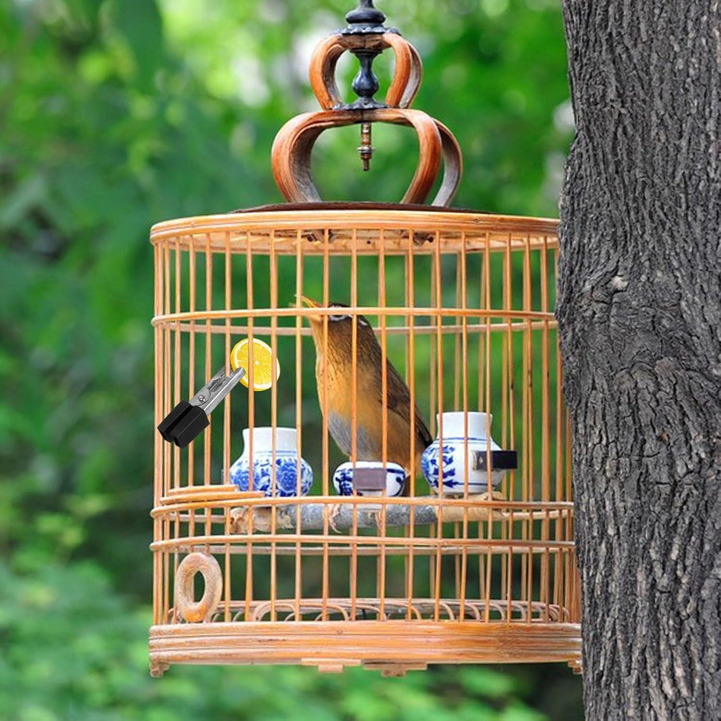 20Pcs Bird Cage Clips Safety Clip Door Lock Parrot Cage Safety Clip Pet Cages Accessories Parakeet Toys