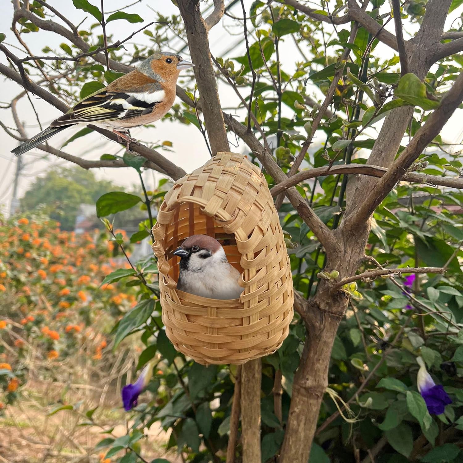 Natural Bird Houses, Bamboo Handmade Bird House, Finch Hideout Cage, Hut Toy Shelter for Outdoor