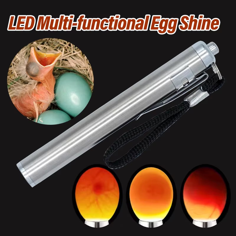 Egg Candler Tester, Bright Cool LED Light Candling Lamp for All Chicken Dark Quail Duck Canary Eggs