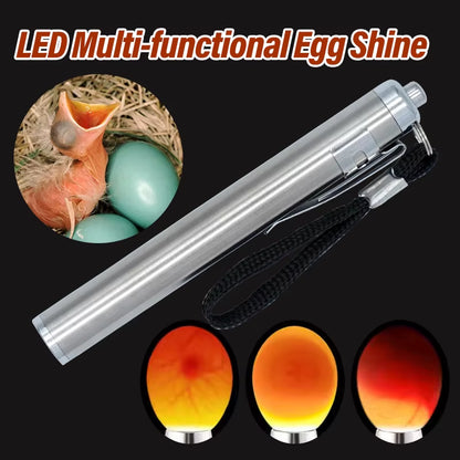 Egg Candler Tester, Bright Cool LED Light Candling Lamp for All Chicken Dark Quail Duck Canary Eggs