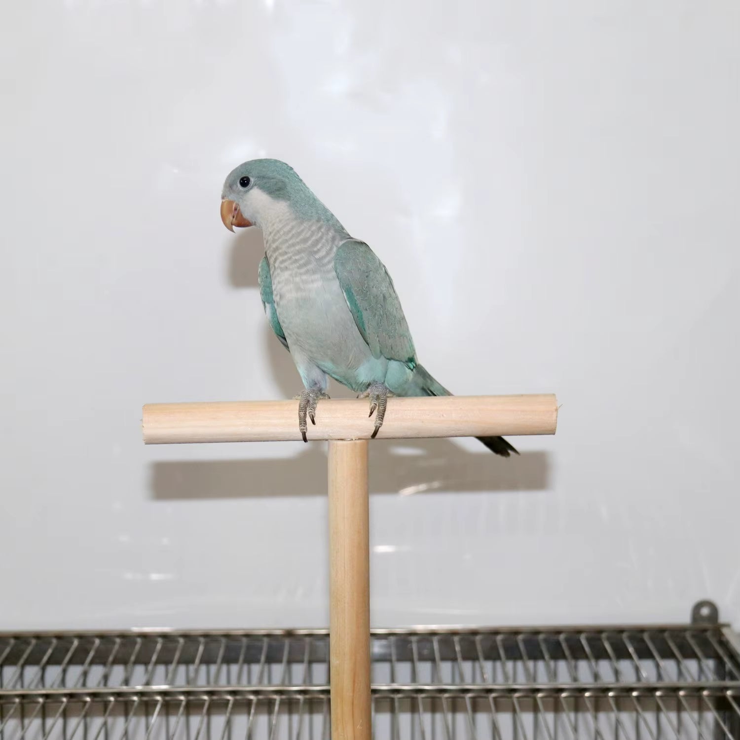 Parrot Toy Stand Stick Stand Pole T-Shaped Bird Stand Stand Perch Bird Toy Bird Cage Accessories Bird Supplies