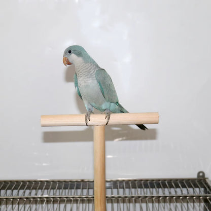Parrot Toy Stand Stick Stand Pole T-Shaped Bird Stand Stand Perch Bird Toy Bird Cage Accessories Bird Supplies