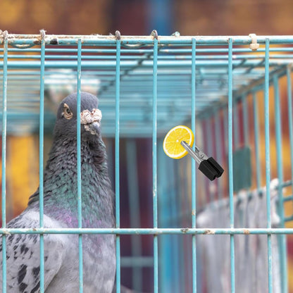 20Pcs Bird Cage Clips Safety Clip Door Lock Parrot Cage Safety Clip Pet Cages Accessories Parakeet Toys