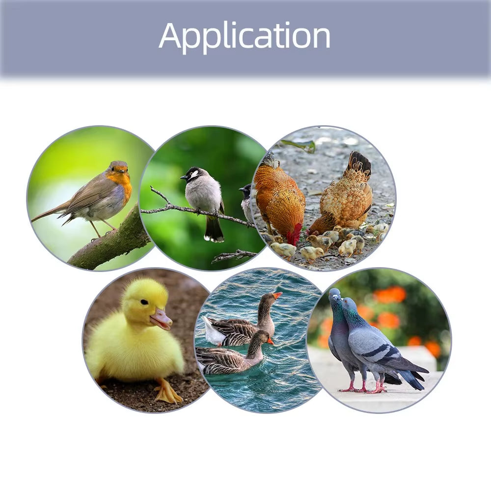 Egg Hatching Incubator DIY Incubator Mini Incubateur Controller Set DIY Egg Incubator with Temperature Control Chicken HTMC-5