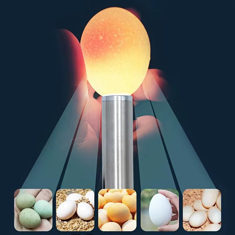 Egg Candler Tester, Bright Cool LED Light Candling Lamp for All Chicken Dark Quail Duck Canary Eggs